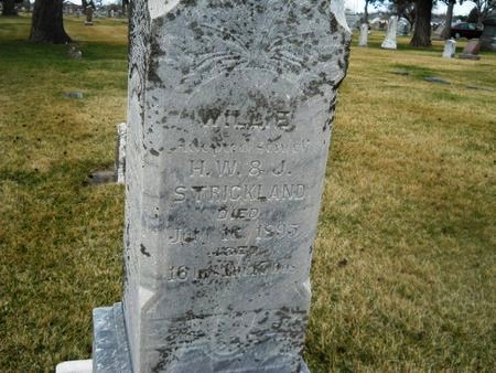 STRICKLAND, WILLE - Clay County, Iowa | WILLE STRICKLAND 