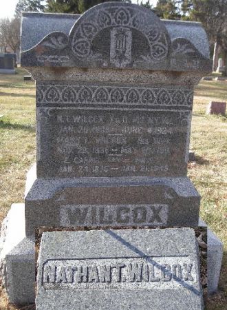 WILCOX, NATHAN THOMAS - Clay County, Iowa | NATHAN THOMAS WILCOX 