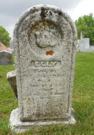 ADAMS, ELLY - Clayton County, Iowa | ELLY ADAMS 