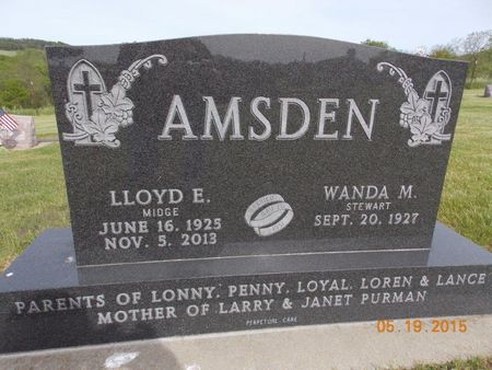 AMSDEN, LLOYD E. - Clayton County, Iowa | LLOYD E. AMSDEN 