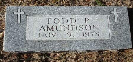 AMUNDSON, TODD P. - Clayton County, Iowa | TODD P. AMUNDSON 