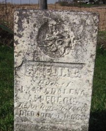 ANDEREGG, AMELIA - Clayton County, Iowa | AMELIA ANDEREGG 