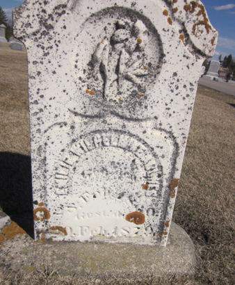 WITHEL, EMILIE WILHELMINE - Clayton County, Iowa | EMILIE WILHELMINE WITHEL 