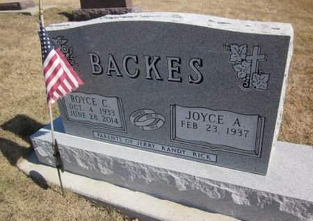 BACKES, ROYCE C. - Clayton County, Iowa | ROYCE C. BACKES 