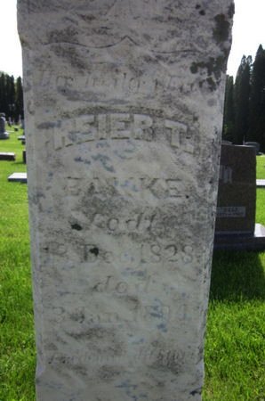 BAKKE, REIER T. - Clayton County, Iowa | REIER T. BAKKE 