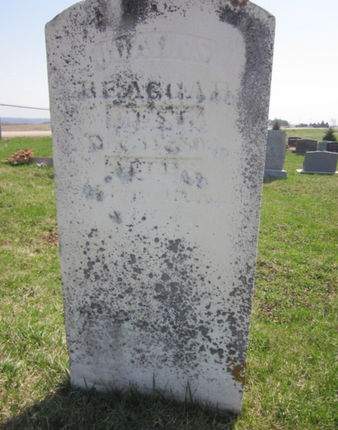 BEAGGAR, JOHANS - Clayton County, Iowa | JOHANS BEAGGAR 