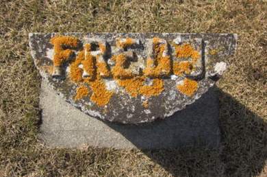 BEHRENS, FRED J. - Clayton County, Iowa | FRED J. BEHRENS 