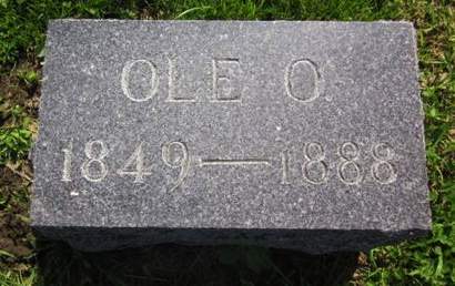 BERGAN, OLE O. - Clayton County, Iowa | OLE O. BERGAN 