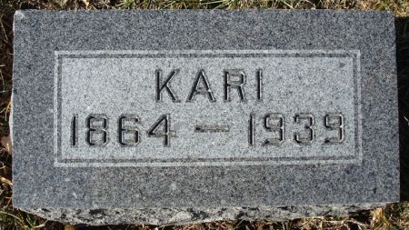 BILDEN, KARI - Clayton County, Iowa | KARI BILDEN 