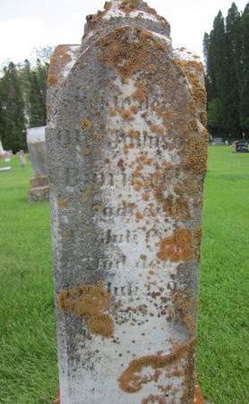 BJORNSRUD, OLE JOHNSON - Clayton County, Iowa | OLE JOHNSON BJORNSRUD 