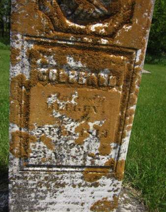 BLEGEN, GULBRAND - Clayton County, Iowa | GULBRAND BLEGEN 