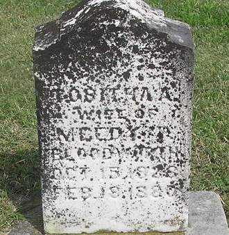 BLOODWORTH, TOBITHA A. - Clayton County, Iowa | TOBITHA A. BLOODWORTH 