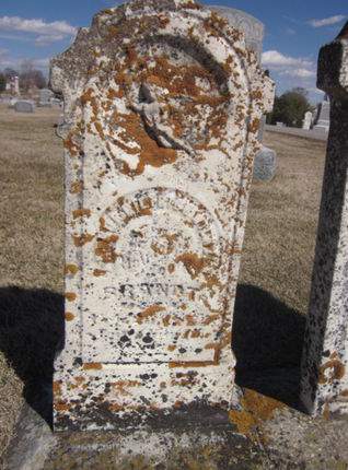 BRANDT, UNKNOWN - Clayton County, Iowa | UNKNOWN BRANDT 