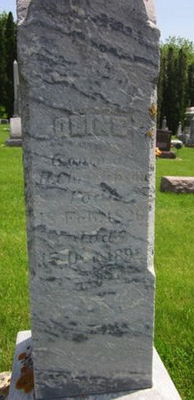 CHRISTENSON, OLINE - Clayton County, Iowa | OLINE CHRISTENSON 