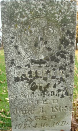 CONTAL, ALBERT H. - Clayton County, Iowa | ALBERT H. CONTAL 