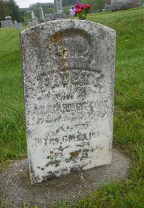 COOK, FAYETT - Clayton County, Iowa | FAYETT COOK 