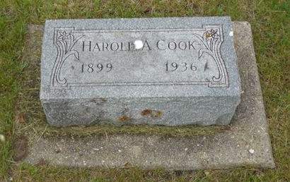 COOK, HAROLD A. - Clayton County, Iowa | HAROLD A. COOK 