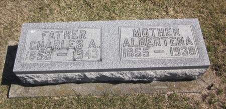 DETTMAN, ALBERTENA - Clayton County, Iowa | ALBERTENA DETTMAN 