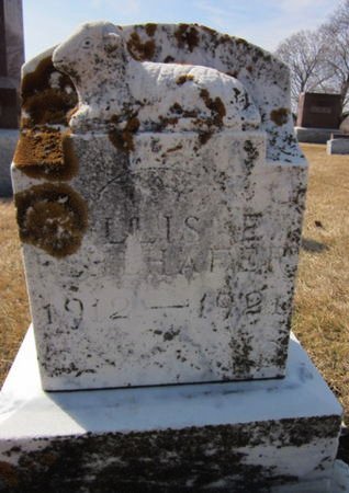 FEHLHAFER, WILLIS E. - Clayton County, Iowa | WILLIS E. FEHLHAFER 