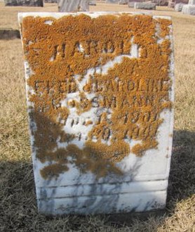 GOSSMANN, HAROLD - Clayton County, Iowa | HAROLD GOSSMANN 
