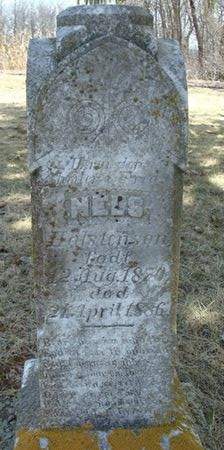 HALSTENSON, NELS - Clayton County, Iowa | NELS HALSTENSON 