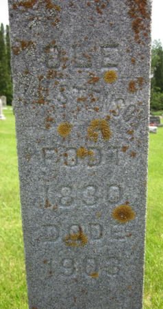 HALSTENSON, OLE - Clayton County, Iowa | OLE HALSTENSON 