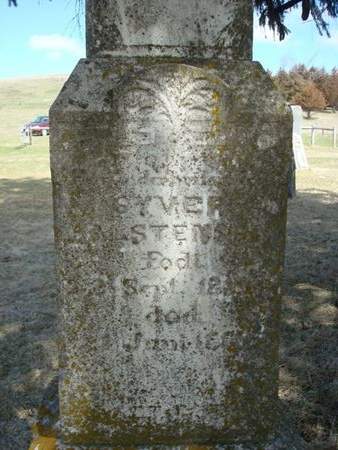 HALSTENSON, SYVER - Clayton County, Iowa | SYVER HALSTENSON 