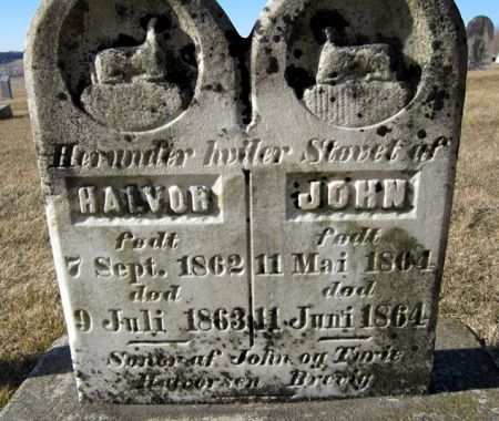 BREVIG, HALVOR - Clayton County, Iowa | HALVOR BREVIG 