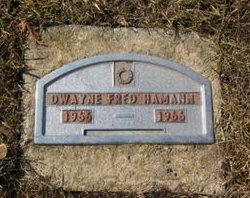 HAMANN, DWAYNE FRED - Clayton County, Iowa | DWAYNE FRED HAMANN 