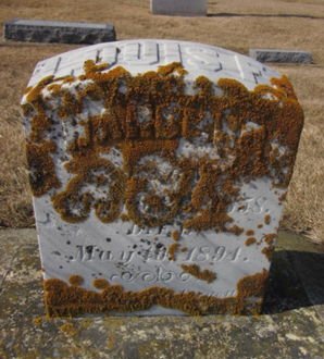 HARBERG, LOUIS F. - Clayton County, Iowa | LOUIS F. HARBERG 