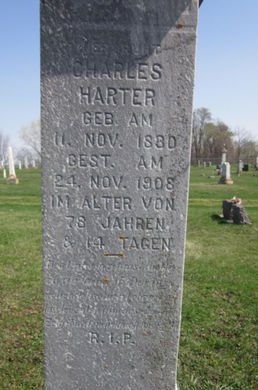 HOERNER HARTER, PETRONELIA - Clayton County, Iowa | PETRONELIA HOERNER HARTER 