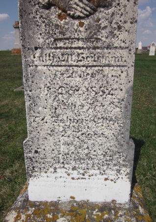 HEITMANN, CATH M. - Clayton County, Iowa | CATH M. HEITMANN 