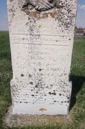 HEITMANN, SARAH - Clayton County, Iowa | SARAH HEITMANN 