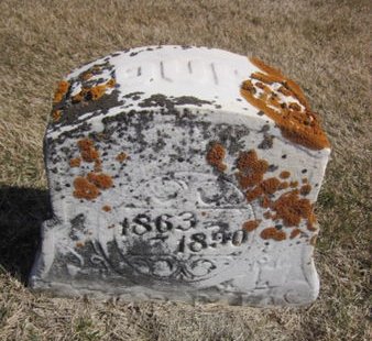 IHDE, LOUISA - Clayton County, Iowa | LOUISA IHDE 