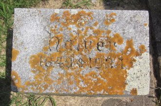 JOHNSON, HALVER - Clayton County, Iowa | HALVER JOHNSON 