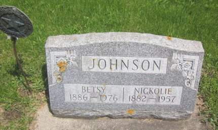 JOHNSON, NICKOLIE - Clayton County, Iowa | NICKOLIE JOHNSON 