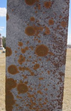 KAHLE, AUGUST - Clayton County, Iowa | AUGUST KAHLE 