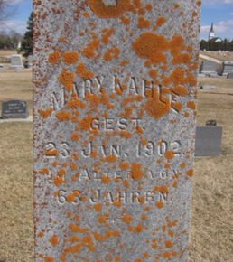 KAHLE, MARY - Clayton County, Iowa | MARY KAHLE 