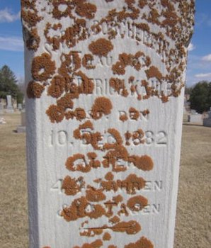 BORCHERDING KAHLE, SOPHIA - Clayton County, Iowa | SOPHIA BORCHERDING KAHLE 