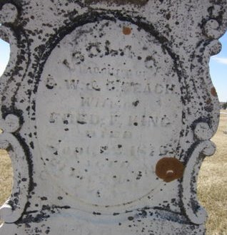 BEACH KING, ISOLA - Clayton County, Iowa | ISOLA BEACH KING 