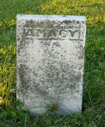 KNICKERBOCKER, AMASA - Clayton County, Iowa | AMASA KNICKERBOCKER 