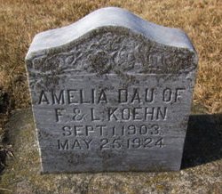 KOEHN, AMELIA - Clayton County, Iowa | AMELIA KOEHN 