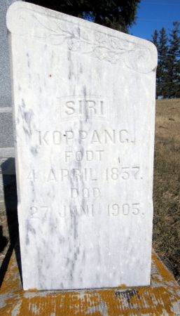 NELSON KOPPANG, SIRI - Clayton County, Iowa | SIRI NELSON KOPPANG 