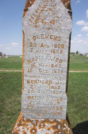 KUHL, BERNARDINA - Clayton County, Iowa | BERNARDINA KUHL 