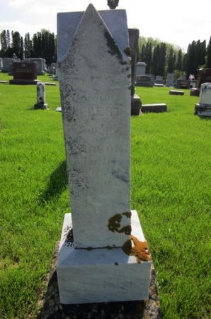 LARSON, ALBERT - Clayton County, Iowa | ALBERT LARSON 