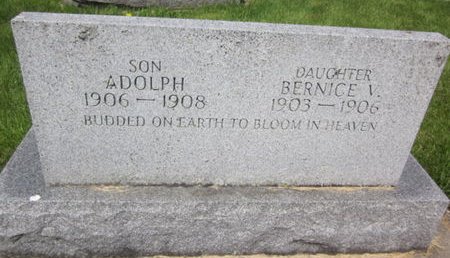 LARSON, ADOLPH - Clayton County, Iowa | ADOLPH LARSON 