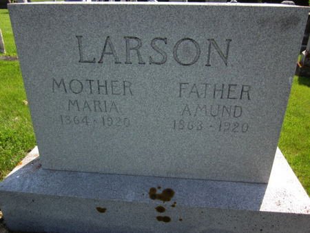 LARSON, AMUND - Clayton County, Iowa | AMUND LARSON 