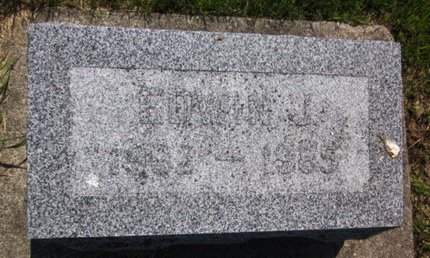 LARSON, EDWIN J. - Clayton County, Iowa | EDWIN J. LARSON 