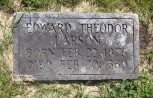 LARSON, EDWARD THEODOR - Clayton County, Iowa | EDWARD THEODOR LARSON 