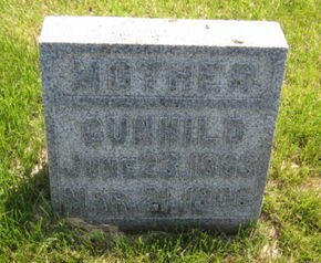 LARSON, GUNHILD - Clayton County, Iowa | GUNHILD LARSON 